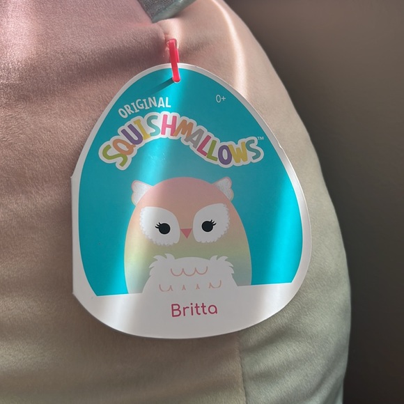 Squishmallow- Britta is an Owl!! - Picture 3 of 4